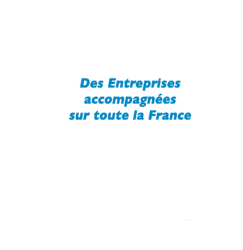 image carte de france UFIPH partenaire des entreprises inclusion • OETH Optimisation Taxe AGEFIPH